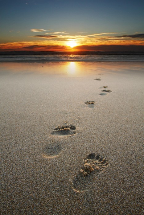 footprints in sand at beach